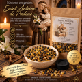 Encens en grains Saint Antoine de Padoue – 15 g + 1 charbon